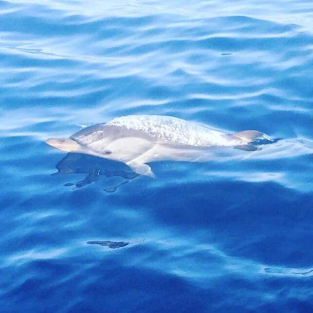 Brezza Di Mare Appartamento In Villa Con Giardino E Spiaggia ,Casa Vacanze Al Mare Quartu SantʼElena Dış mekan fotoğraf